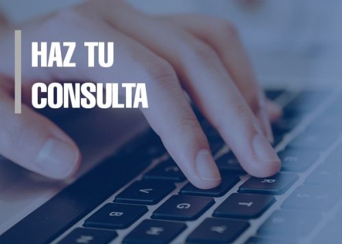 Haz tu consulta